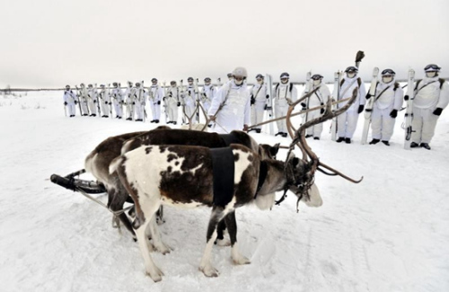 在俄罗斯西北摩尔曼斯克（Murmansk）附近的冰原上，俄罗斯北方舰队的北极步兵旅演练如何乘麋鹿牵拉的雪橇进行战斗任务。俄罗斯北方舰队司令部就在摩尔曼斯克，由于北大西洋暖流作用，那里有终年不冻港。