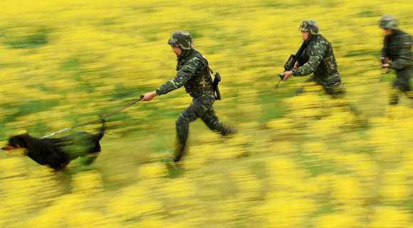 光明网军事频道_报道军事新闻,最新军情,军事