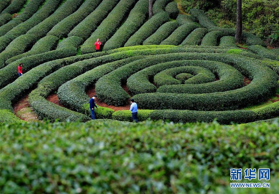 国防部：新的文职人员制度比较优势和综合效益逐步显现