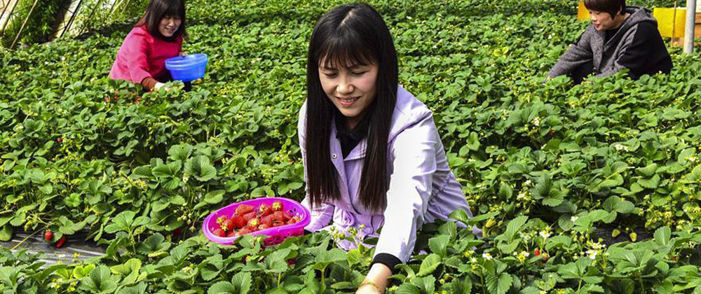 国防部：新的文职人员制度比较优势和综合效益逐步显现