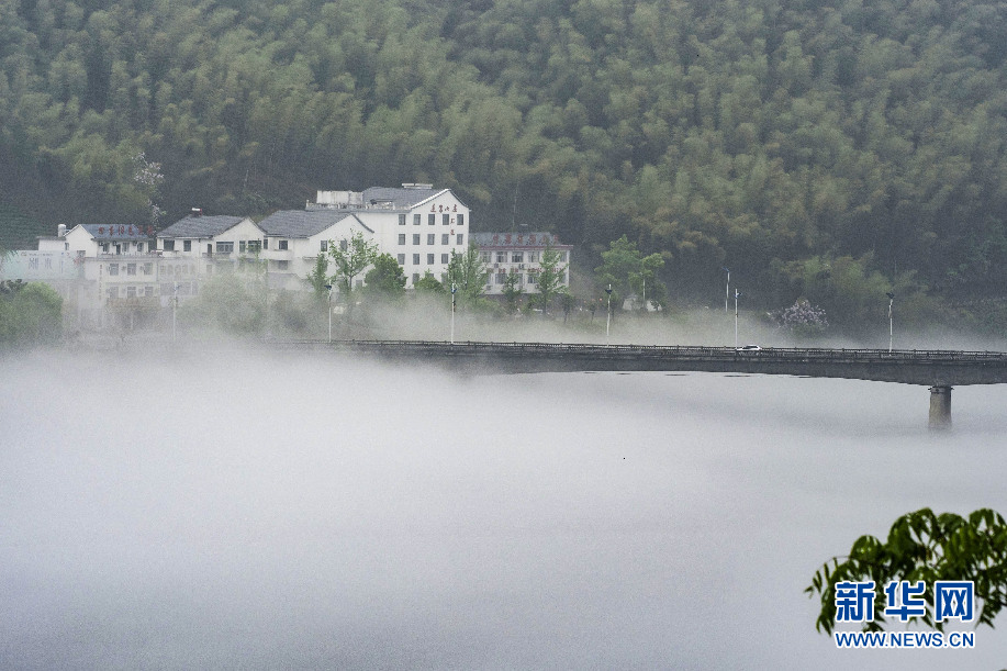 2019年澳新军团日顺利举行 两党强调军人重要性