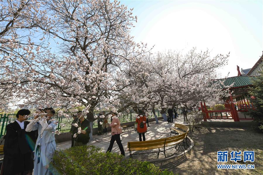 2019年澳新军团日顺利举行 两党强调军人重要性