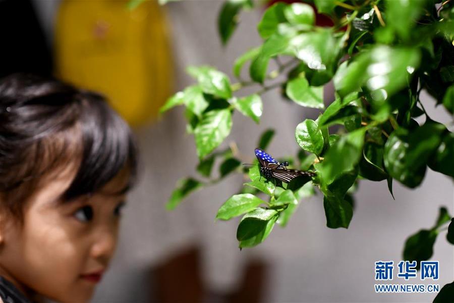 新疆军区男女狙击手戈壁滩上同训练 高温下巾帼不让须眉