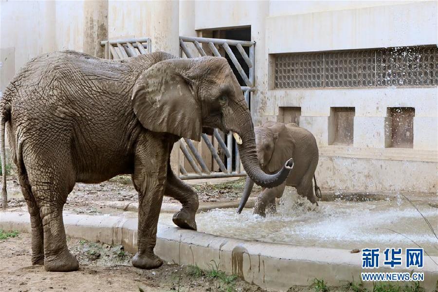 激光武器研发困难重重 美陆军计划与海军合作