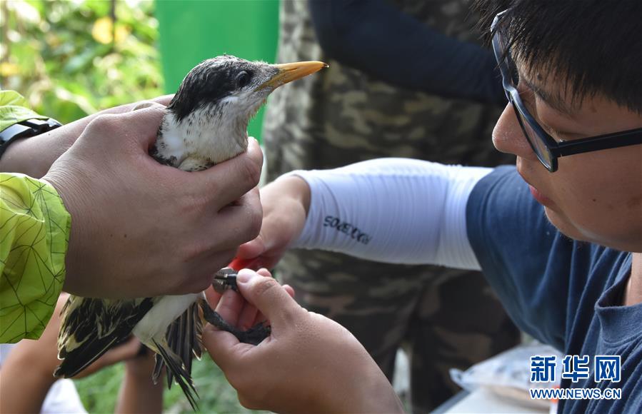 上海武警:高温酷暑练精兵