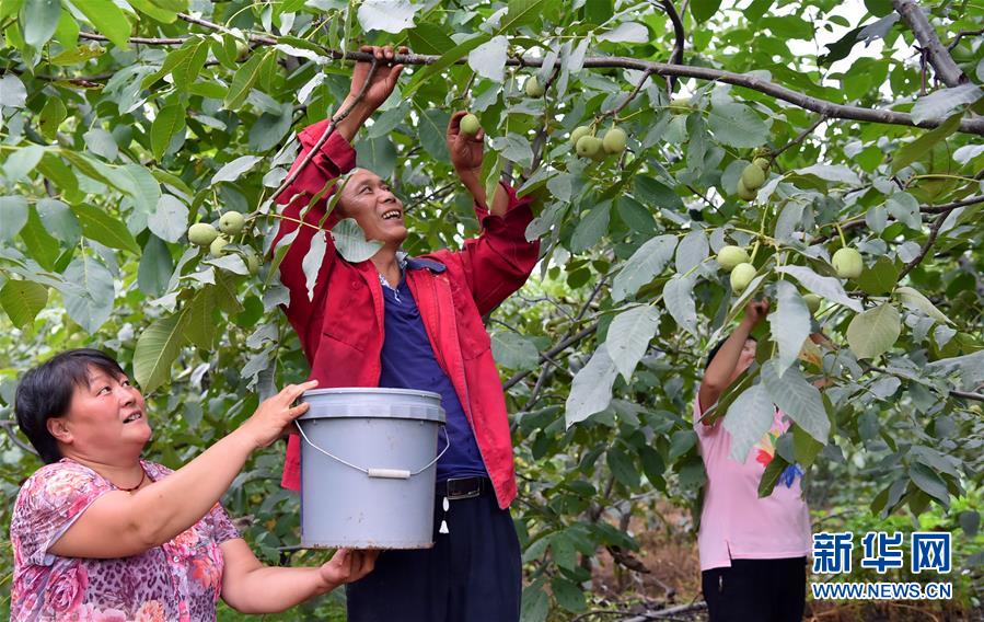 逐梦军营，荣光闪耀！军委国防动员部发布2019年全国征兵公益宣