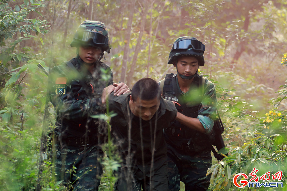 武警福建总队特战队员开展山林地捕歼训练