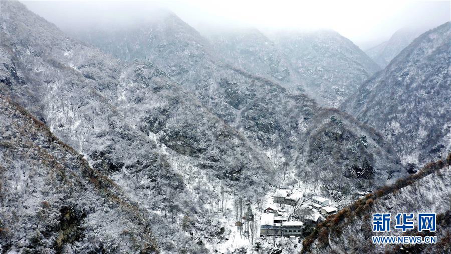 杜富国：从排雷英雄到生活强者