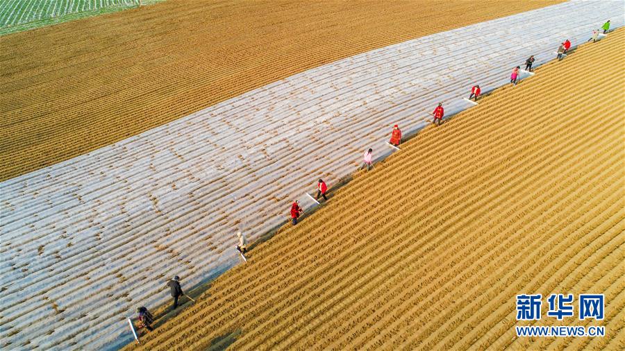 第八十三集团军：学党史读军史评战史感悟初心