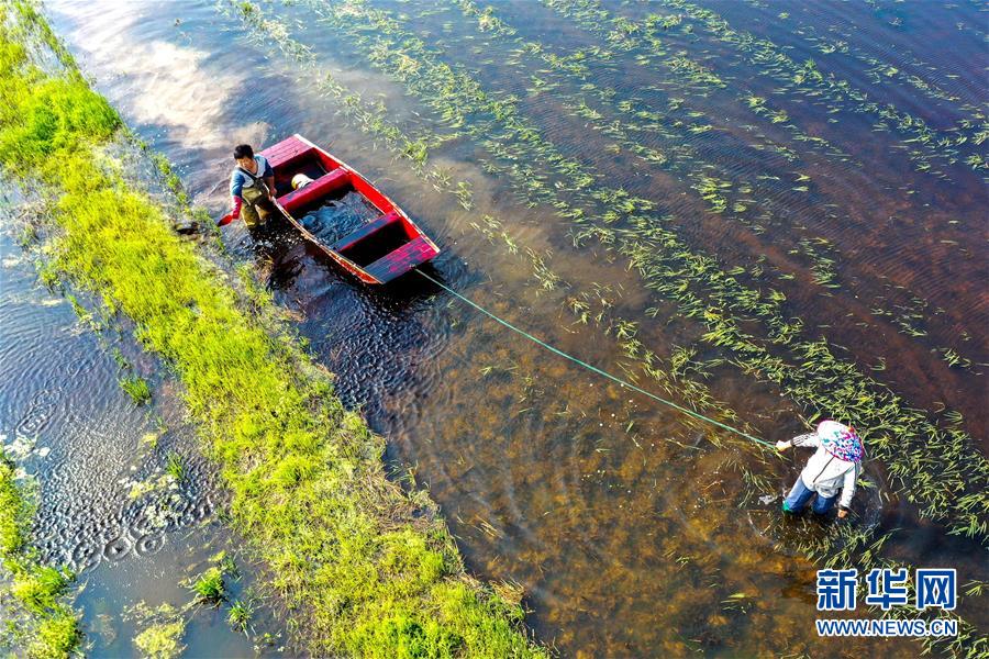 呼和浩特军地携手为湖北一线医护人员捐赠108万
