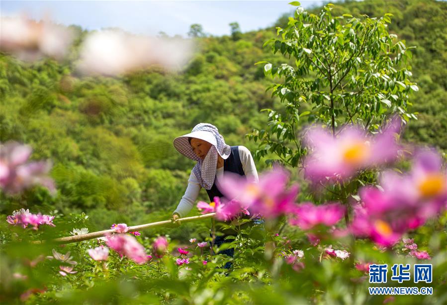 江苏仪征：援鄂医护人员“入列”保障分队