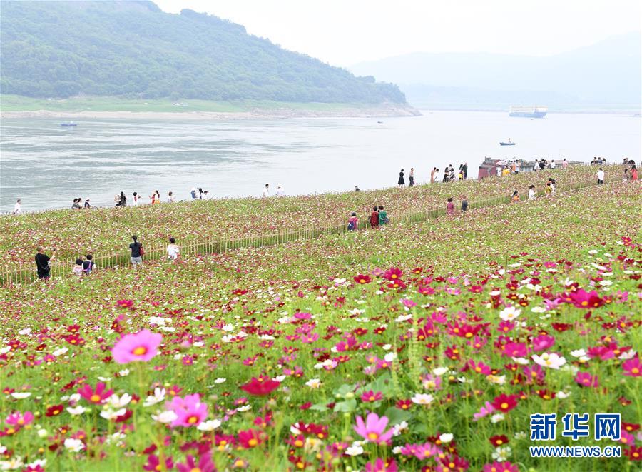 美方行径严重损害台海地区和平稳定