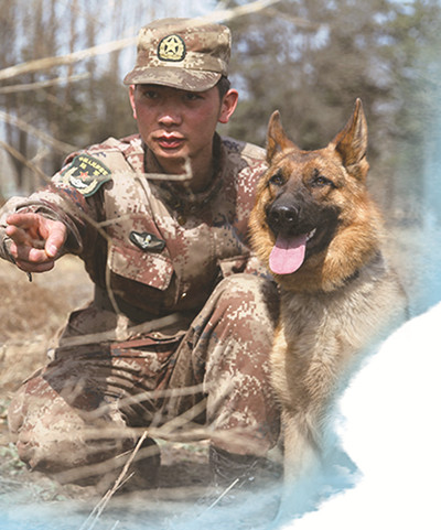 军犬：走进特殊战斗员的世界