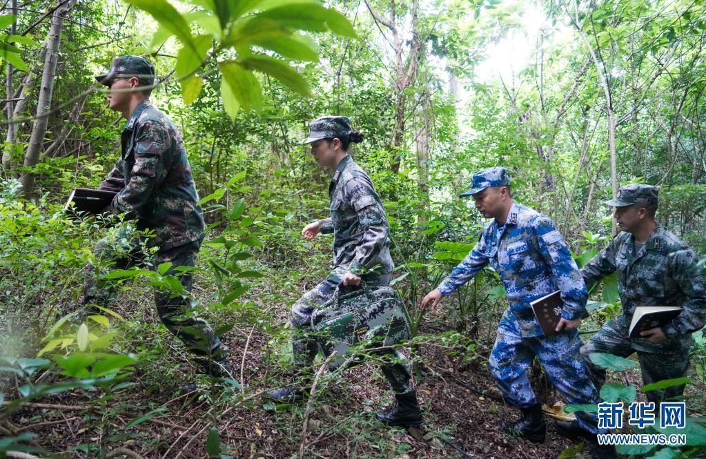 谋战务战 巾帼力量——记南部战区某部高级工程师乔莎莎