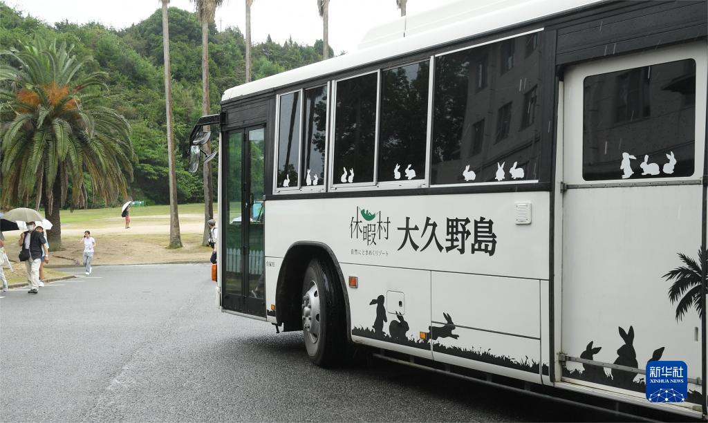 通讯：“切不可忘了加害历史！”——日军“毒气岛”探访记