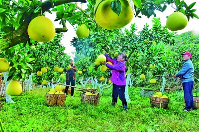  中国海军第44批护航编队抵达卡塔尔进行友好访问