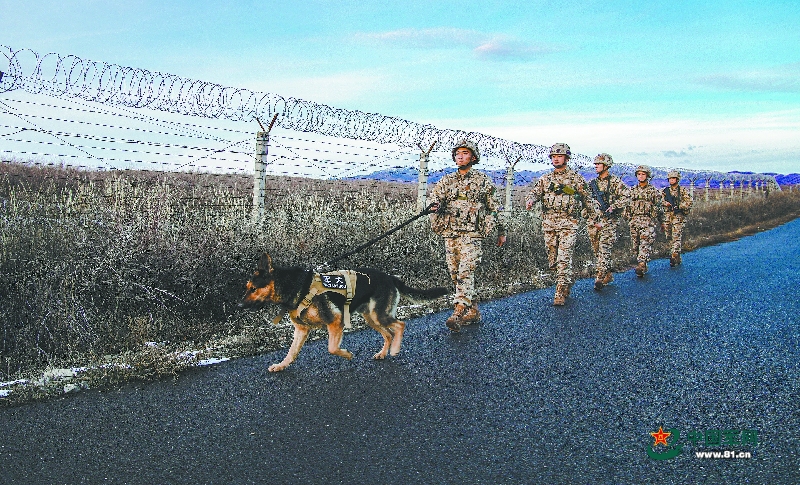 巡邏分隊向目的地行進.軍犬訓導員引導