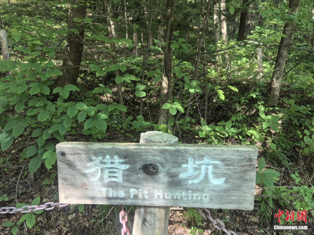 东北抗联战士在“密营”，如何撑过零下40℃的寒冬？