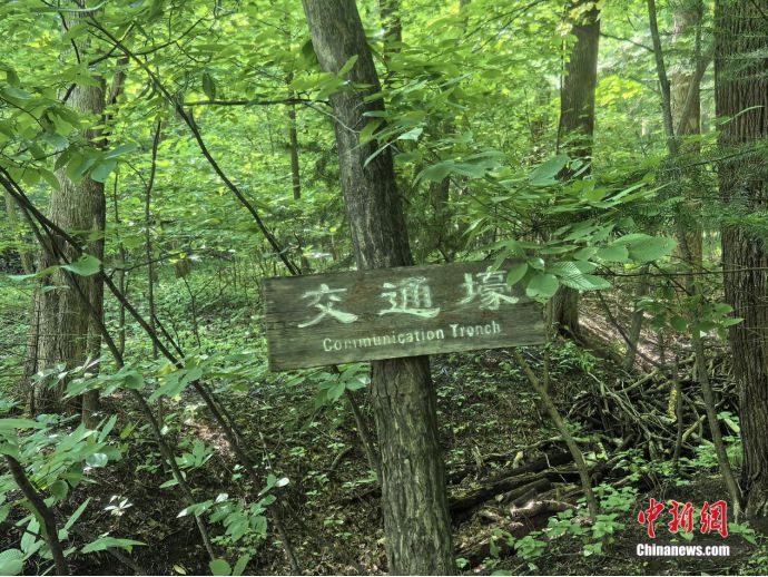 东北抗联战士在“密营”，如何撑过零下40℃的寒冬？