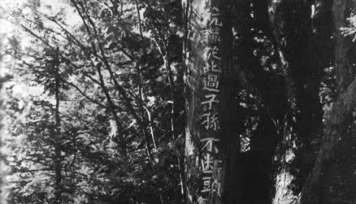 忆烽火·传薪火丨这是中国14年抗战史上第一份抗日宣言！
