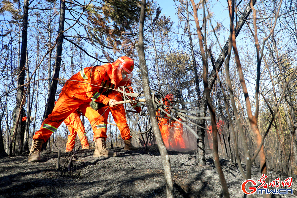 武警炎陵中队赓续“连队建党”红色血脉引领全面建设纪实 武警炎陵中队赓续“连队建党”红色血脉引领全面建设纪实