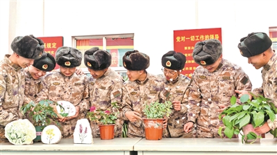 昆木加哨所 雪线之上有春天