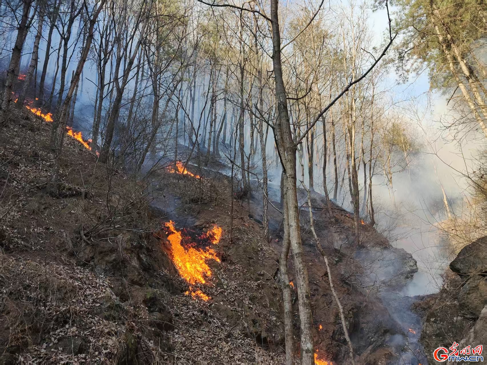 探亲期间勇扑山火 用行动诠释军人担当，张池好样的！