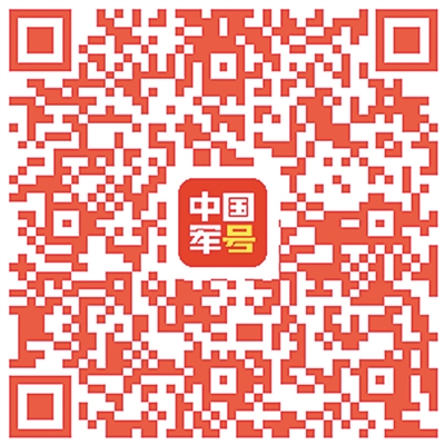 中国蓝盔 大国担当——我海外维和官兵执行任务扫描