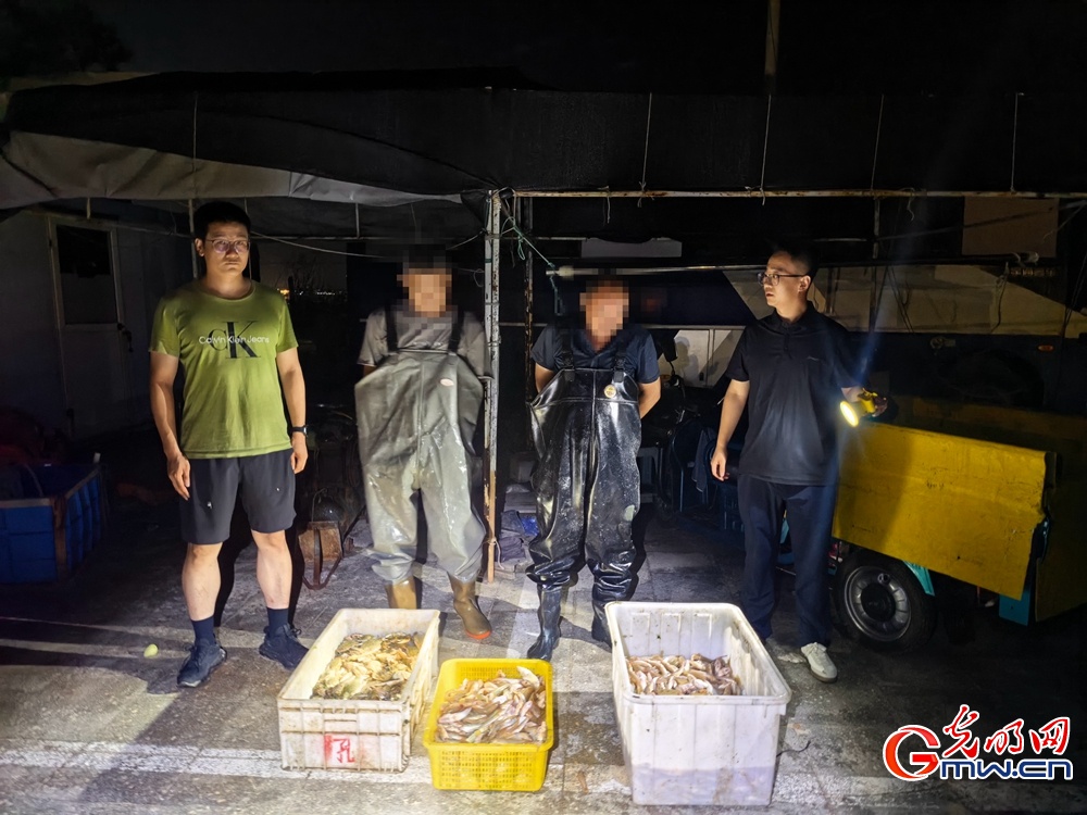 山东烟台海警局完成2026年伏季休渔专项执法行动 山东烟台海警局完成2026年伏季休渔专项执法行动