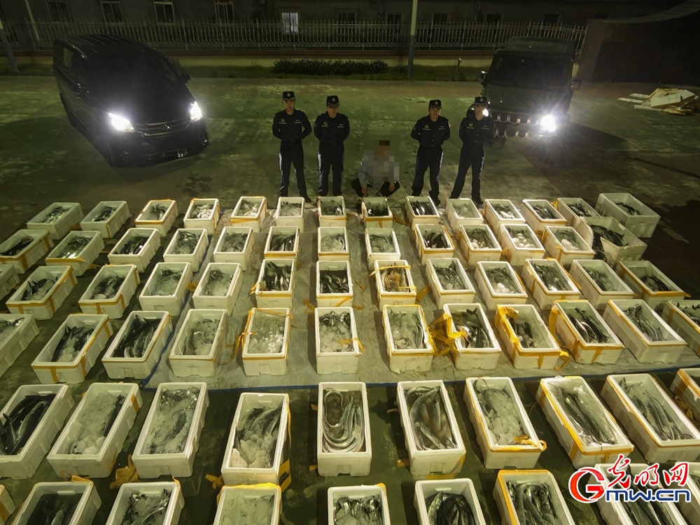山东烟台海警局完成2026年伏季休渔专项执法行动 山东烟台海警局完成2026年伏季休渔专项执法行动