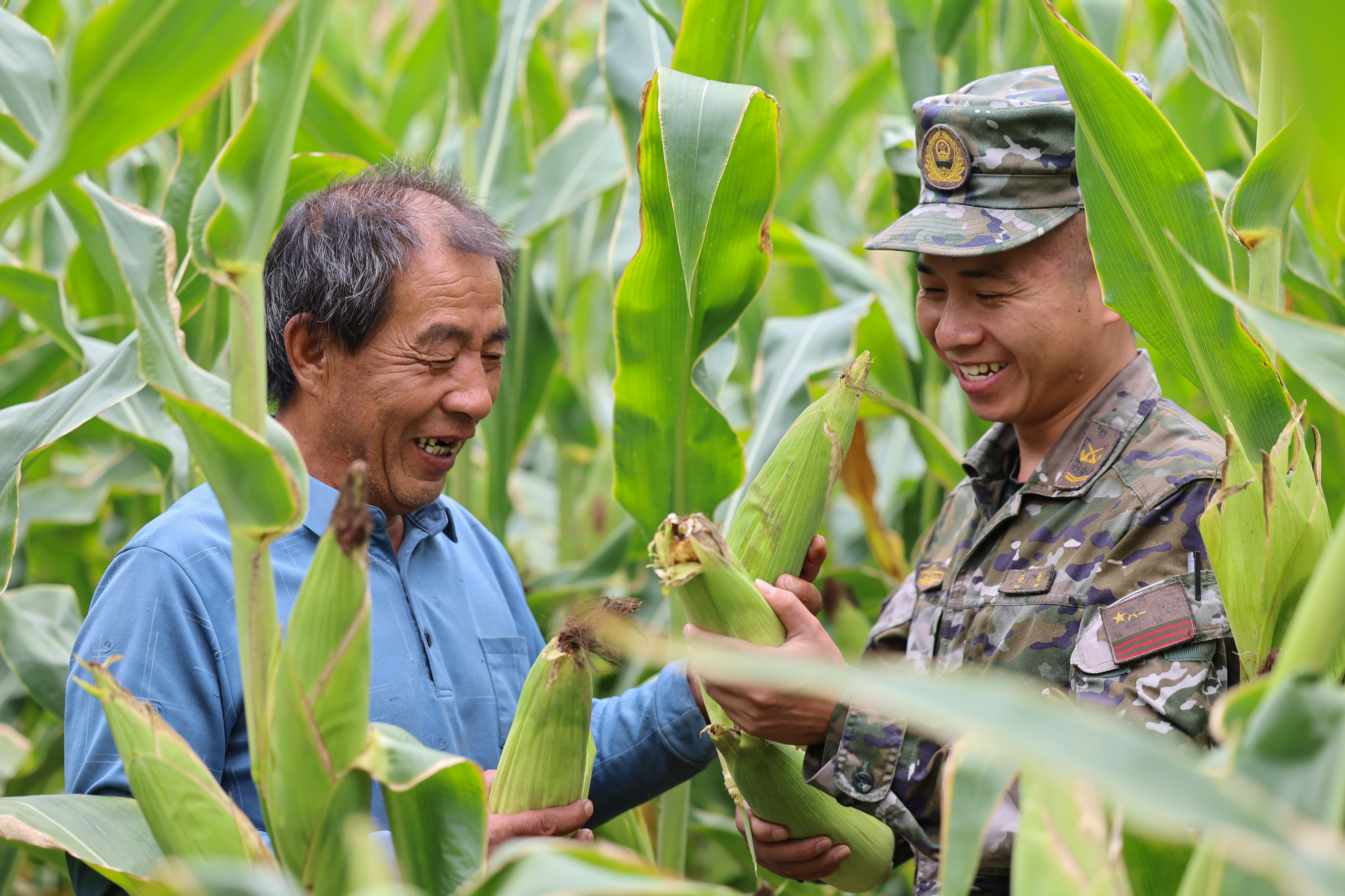 军民团结共努力，乡村振兴结硕果