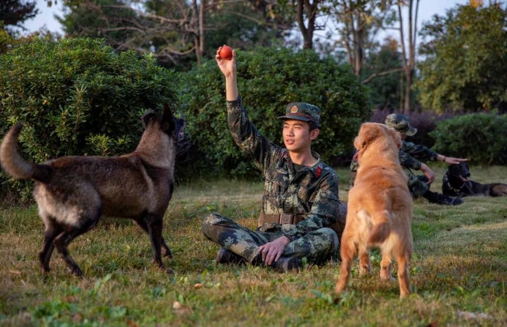 極限訓練鍛造神犬奇兵